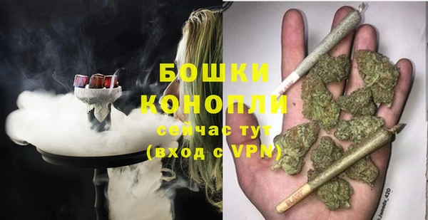 шишки Белоозёрский