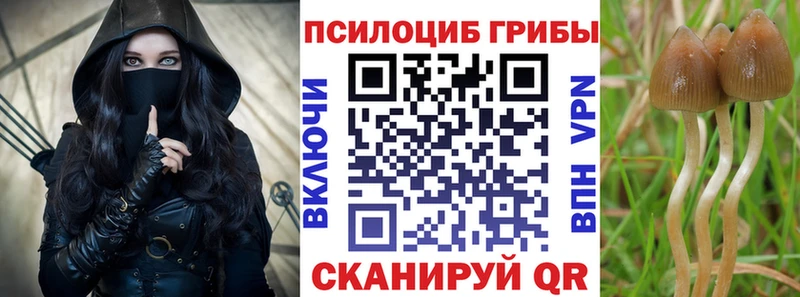 где продают наркотики Нефтегорск Галлюциногенные грибы прущие грибы